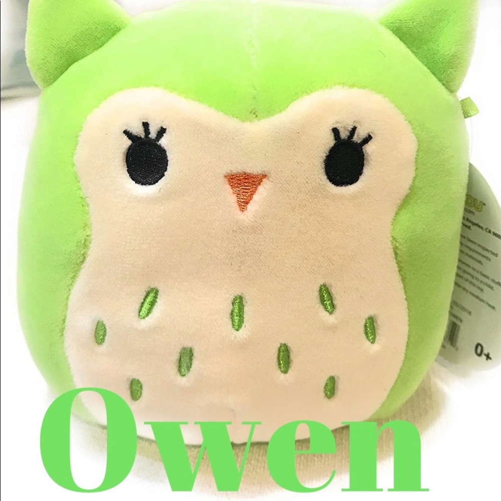 Squishmallow Owen owl